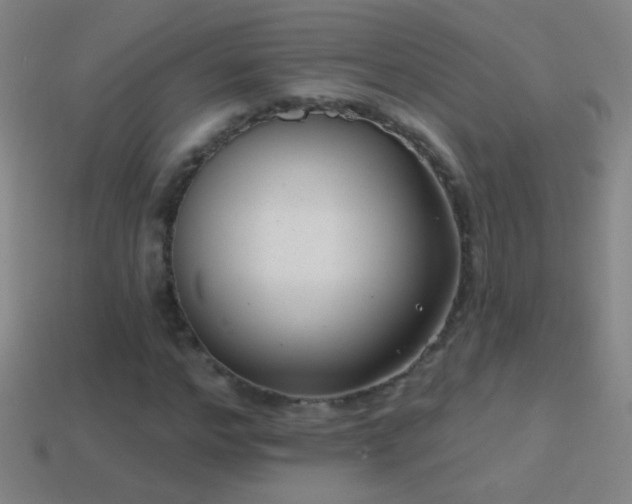 X0000114690968200910211309
