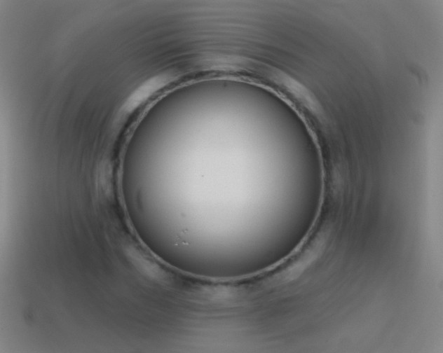 X0000114690970200910211309