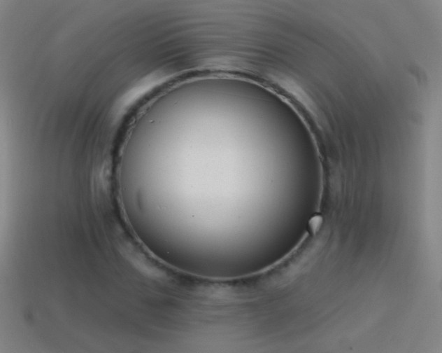 X0000114690971200910211309