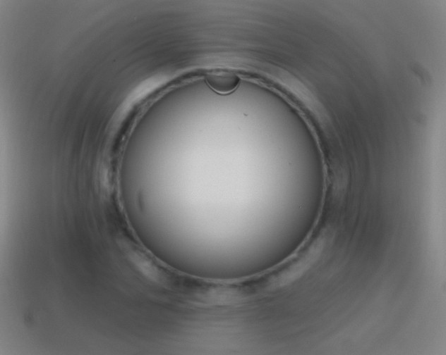 X0000114690974200910211309