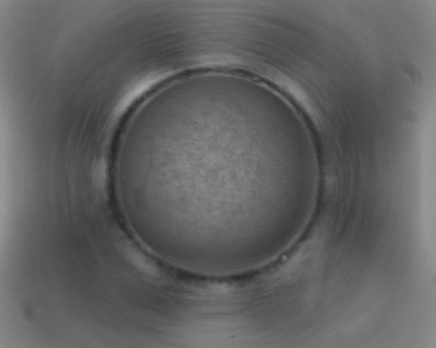X0000114690975200910211309