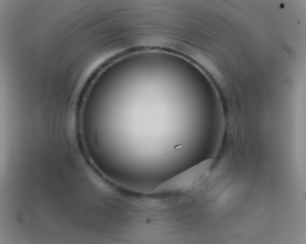 X0000114690976200910211309