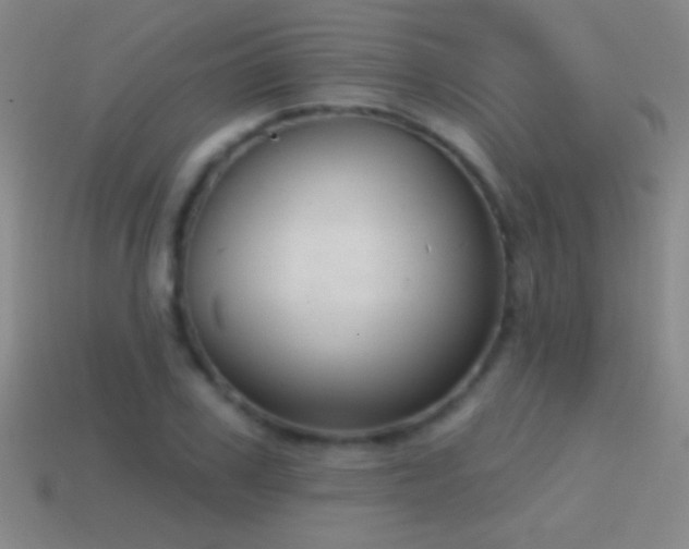 X0000114690979200910211309