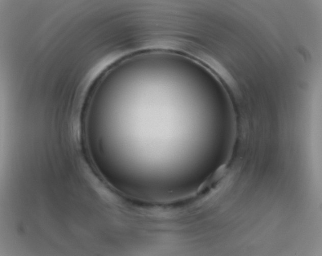 X0000114690980200910211309