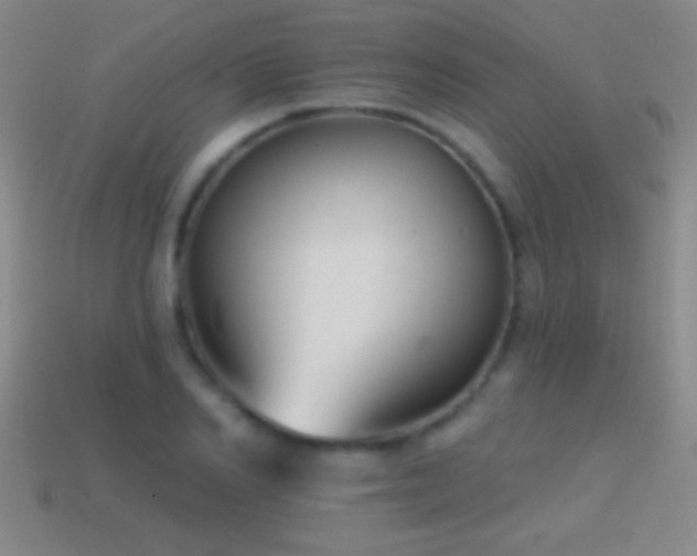 X0000114690982200910211309
