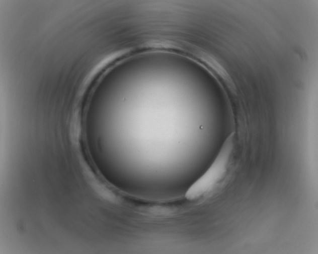 X0000114690984200910211309