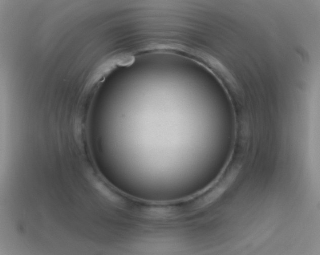X0000114690985200910211309