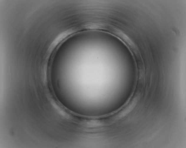 X0000114690986200910211309