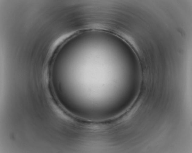 X0000114690987200910211309