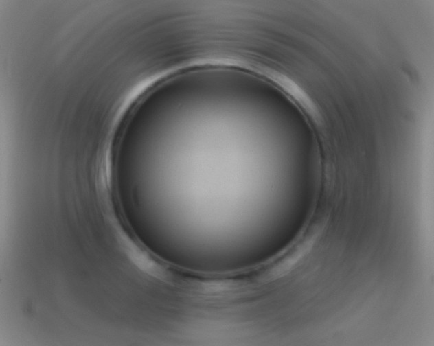 X0000114690988200910211309