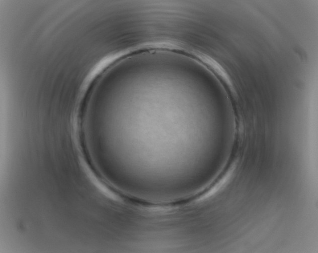 X0000114690989200910211309