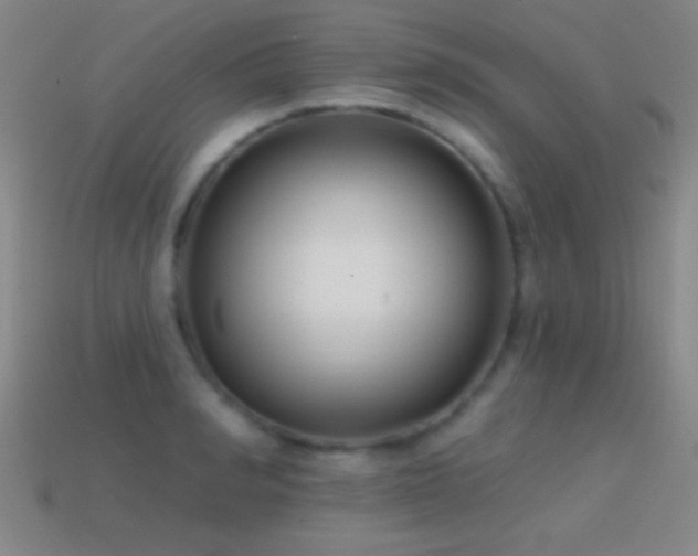 X0000114690990200910211309