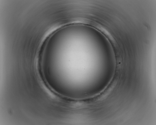 X0000114690991200910211309
