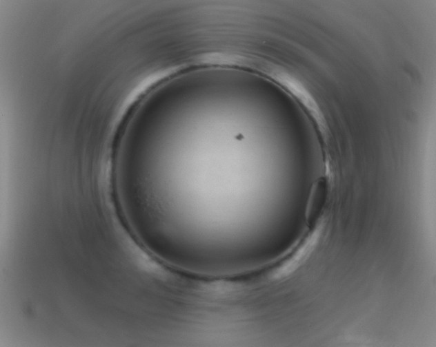 X0000114690992200910211309