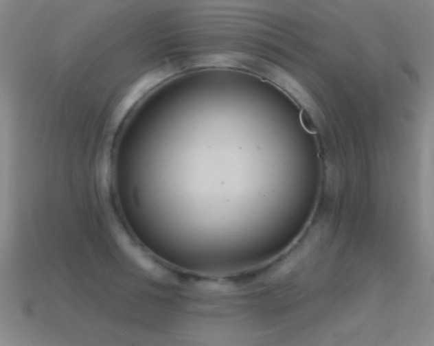 X0000114690994200910211309