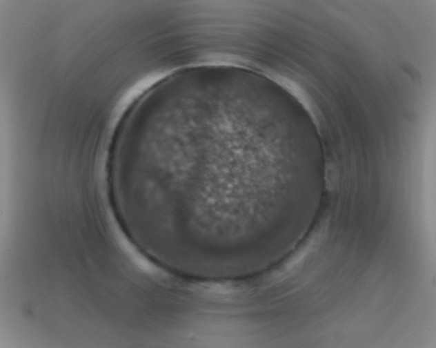 X0000114690995200910211309