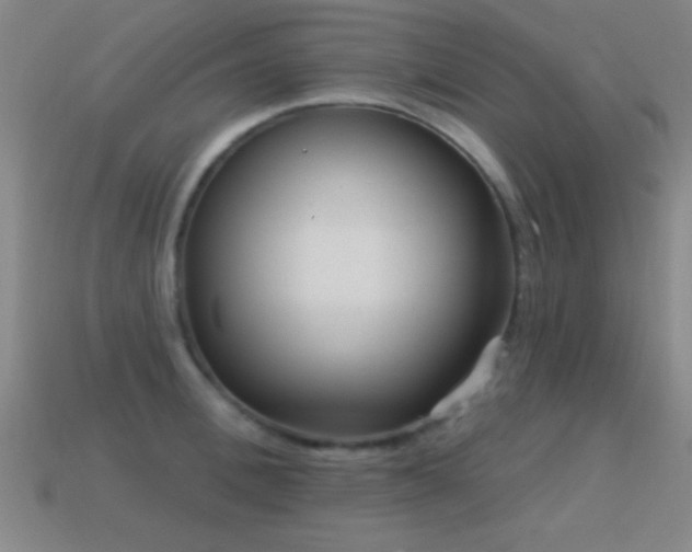 X0000114690996200910211308