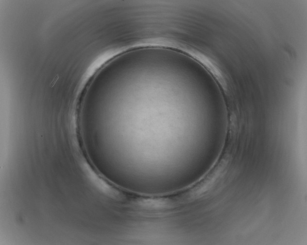 X0000114690998200910211308