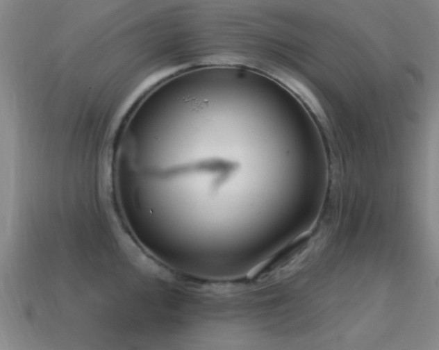 X0000114691000200910211308