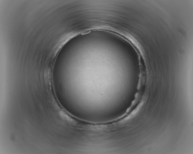 X0000114691001200910211308