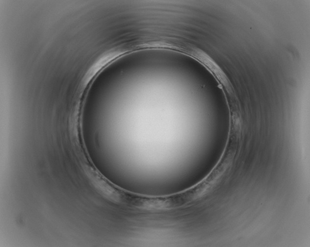 X0000114691002200910211308