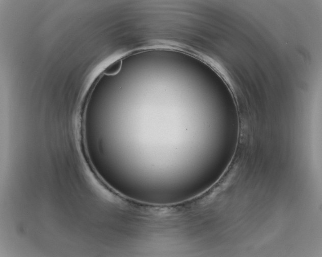 X0000114691003200910211308