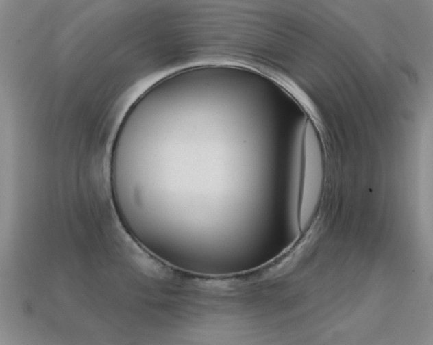 X0000114691004200910211308