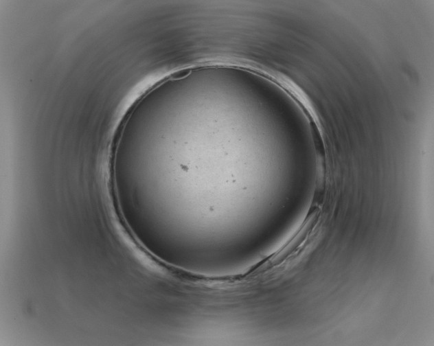 X0000114691005200910211308