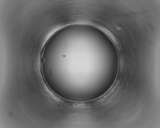 X0000114691006200910211308