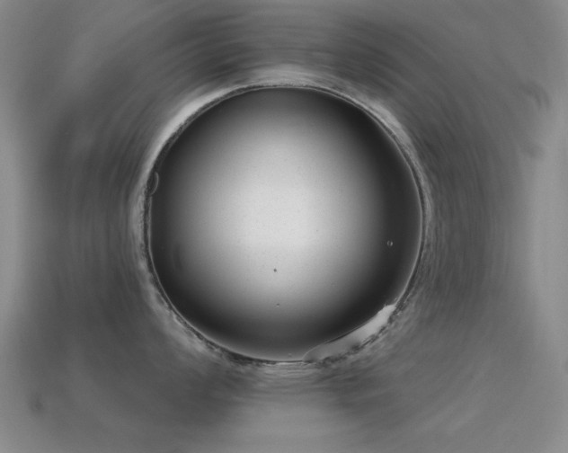 X0000114691008200910211308