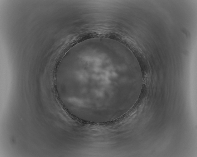 X0000114691009200910211308