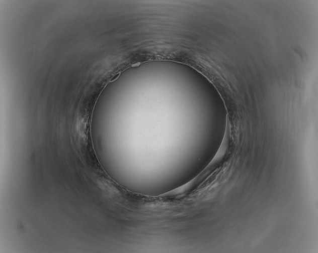 X0000114691010200910211308