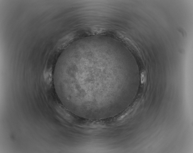 X0000114691011200910211308