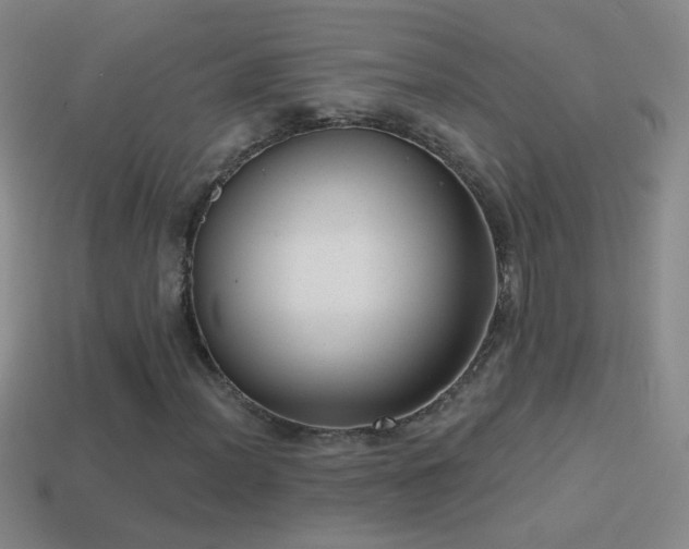 X0000114691012200910211308