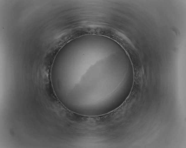 X0000114691013200910211308