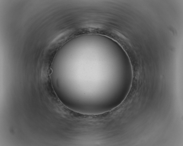 X0000114691014200910211308