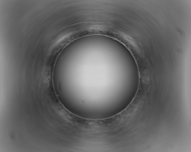 X0000114691015200910211308
