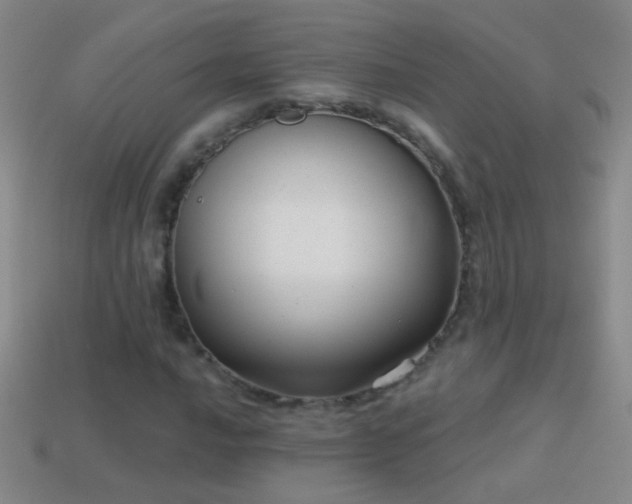 X0000114691016200910211308