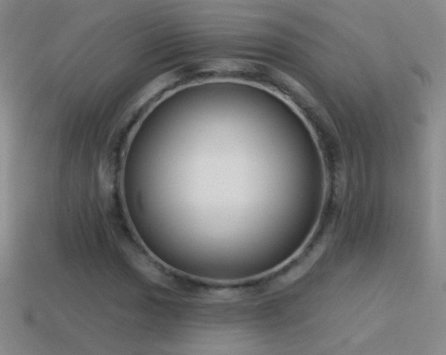 X0000114691017200910211308