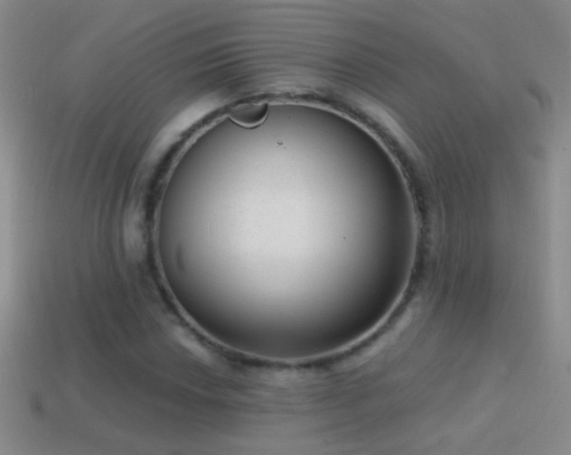 X0000114691018200910211308