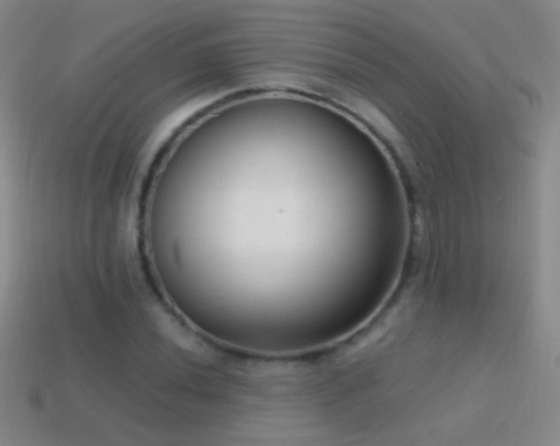 X0000114691020200910211308