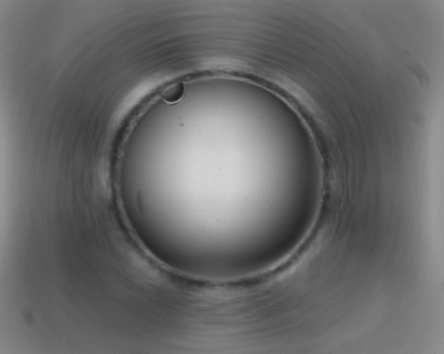 X0000114691022200910211308