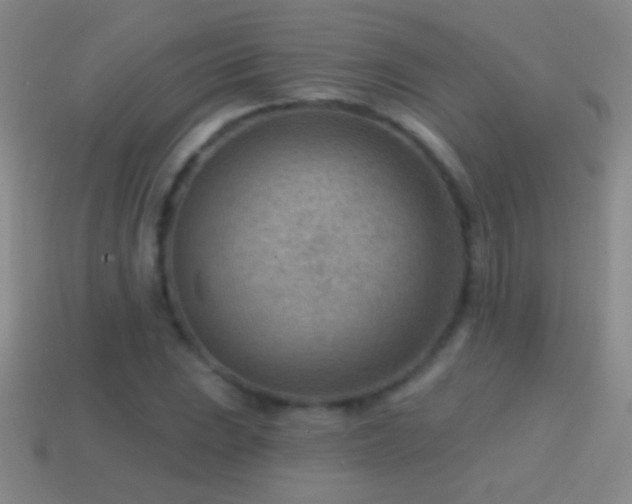 X0000114691023200910211308