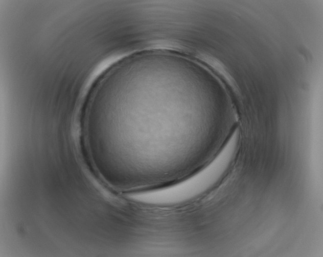 X0000114691024200910211308