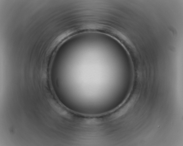 X0000114691025200910211308