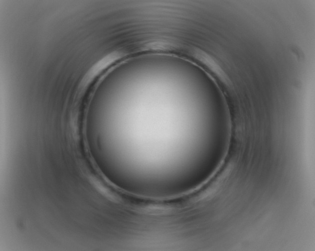 X0000114691026200910211308