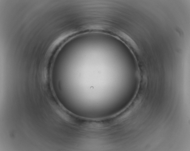 X0000114691027200910211308