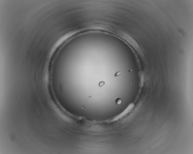 X0000114691028200910211308