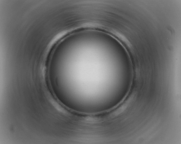 X0000114691029200910211308