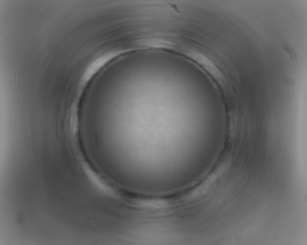 X0000114691031200910211308